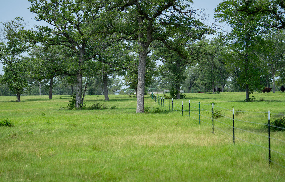 Rolling B Ranch 86 Acre Ranch For Sale In Guadalupe County Image 13