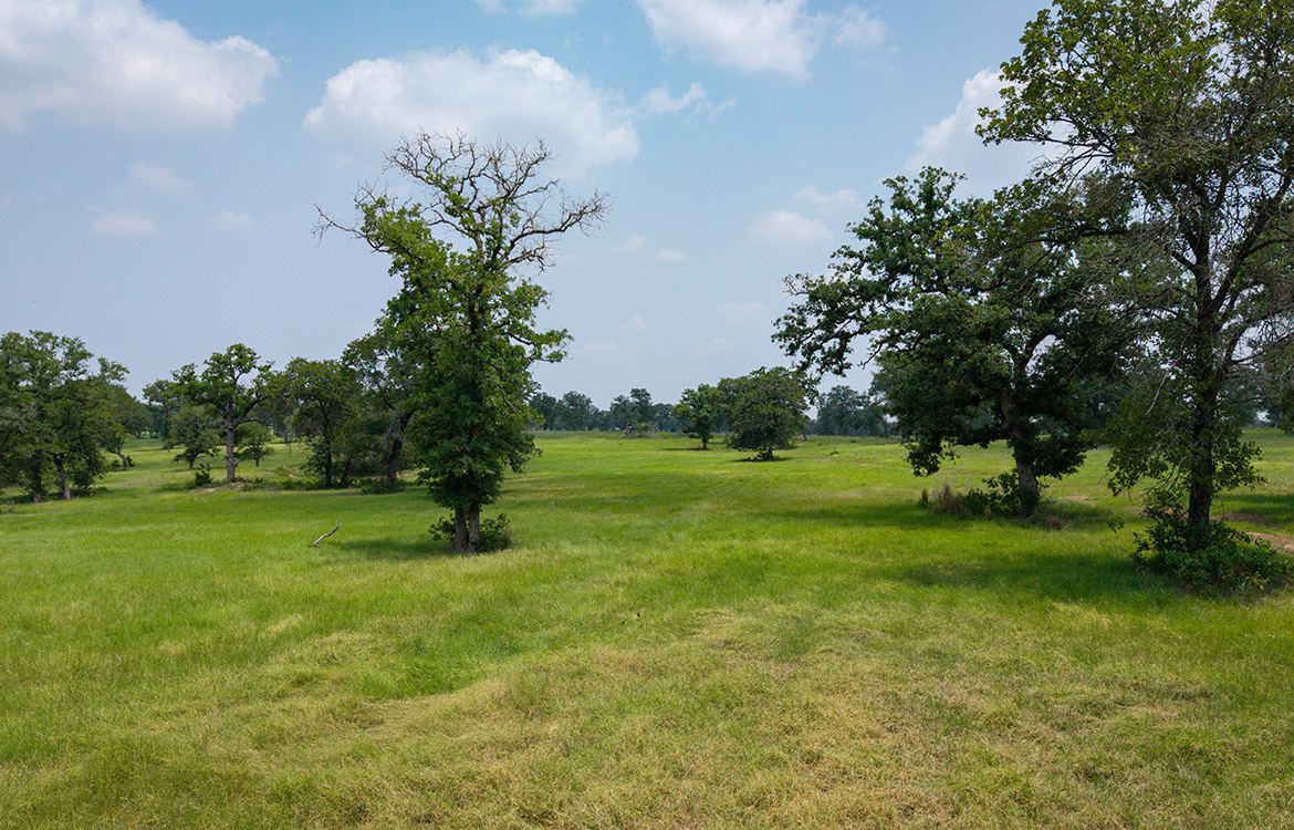 Rolling B Ranch 86 Acre Ranch For Sale In Guadalupe County Image 14