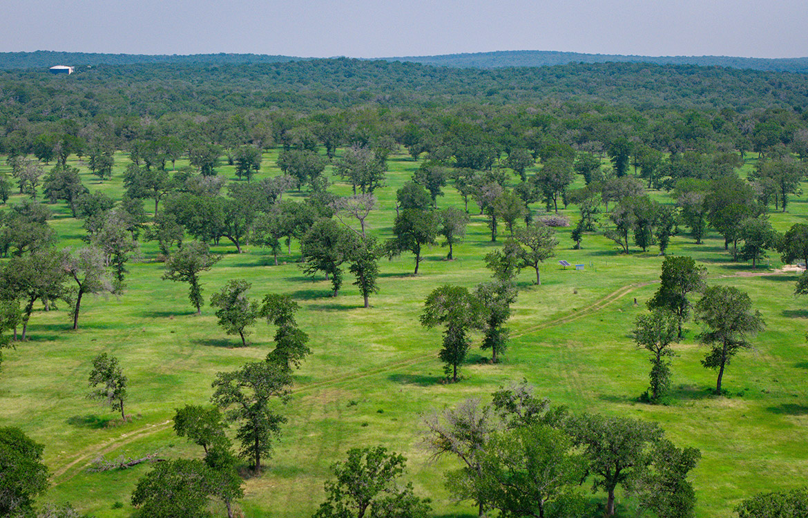 Rolling B Ranch 86 Acre Ranch For Sale In Guadalupe County Image 16
