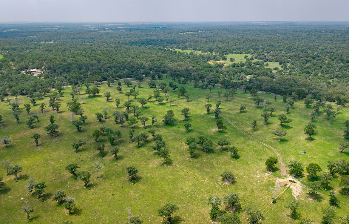 Rolling B Ranch 86 Acre Ranch For Sale In Guadalupe County Image 18