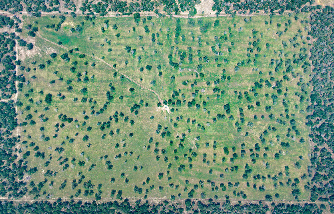 Rolling B Ranch 86 Acre Ranch For Sale In Guadalupe County Image 19