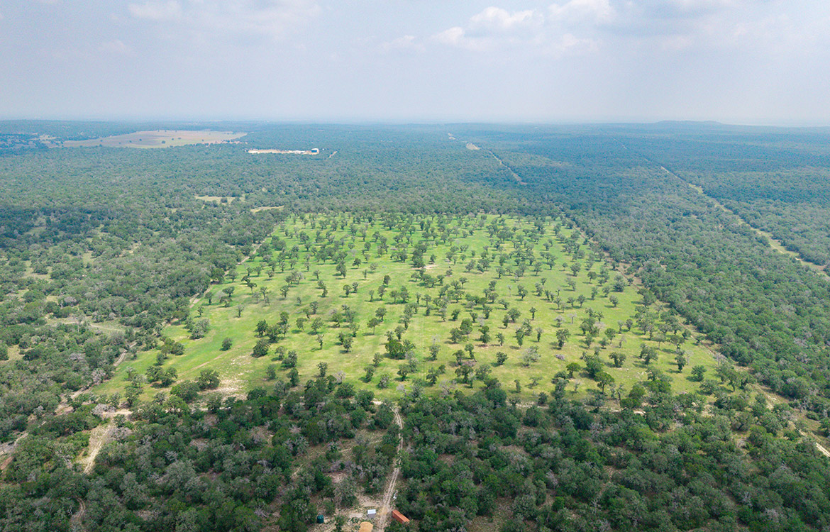 Rolling B Ranch 86 Acre Ranch For Sale In Guadalupe County Image 20