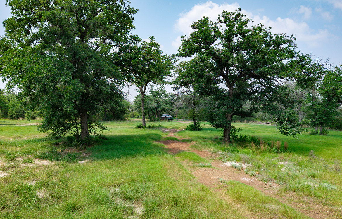 Rolling B Ranch 86 Acre Ranch For Sale In Guadalupe County Image 6