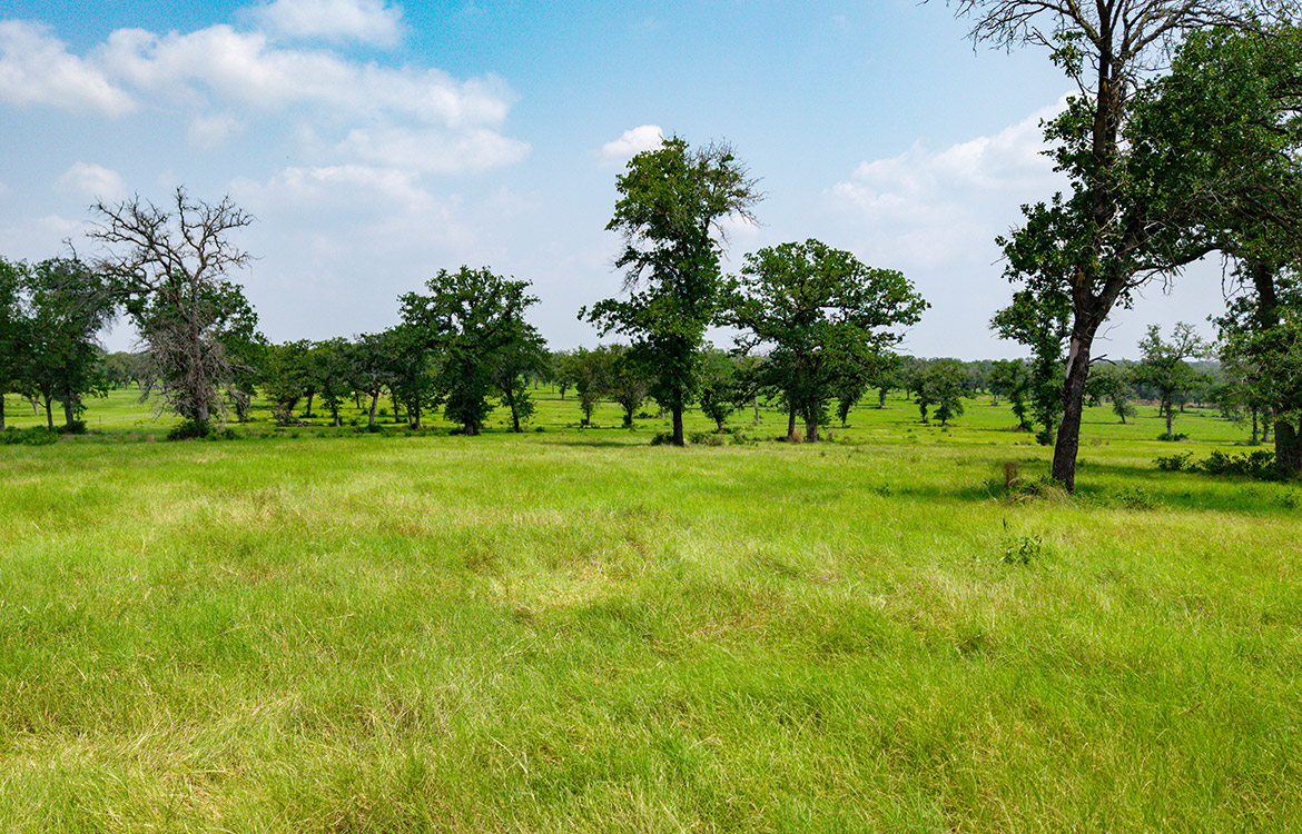 Rolling B Ranch 86 Acre Ranch For Sale In Guadalupe County Image 7