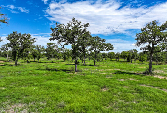 Rolling B Ranch 86 Acre Ranch For Sale In Guadalupe County Image 14