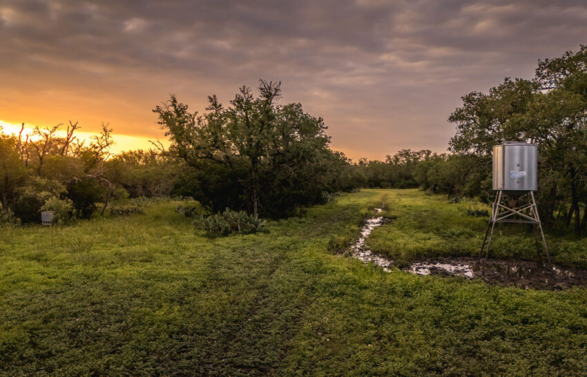 Aspire Wildlife Ranch 1298 Acre Hunting Ranch For Sale in Medina County Image 14