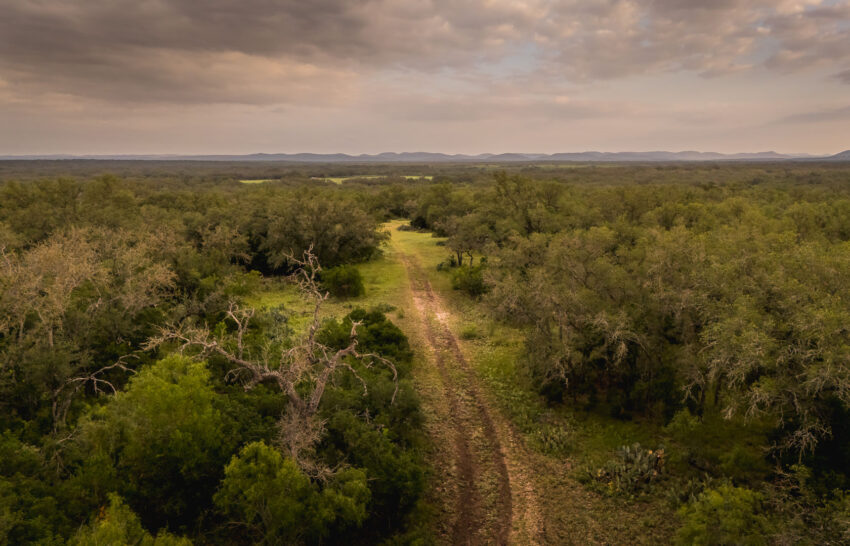 Aspire Wildlife Ranch 1298 Acre Hunting Ranch For Sale in Medina County Image 17