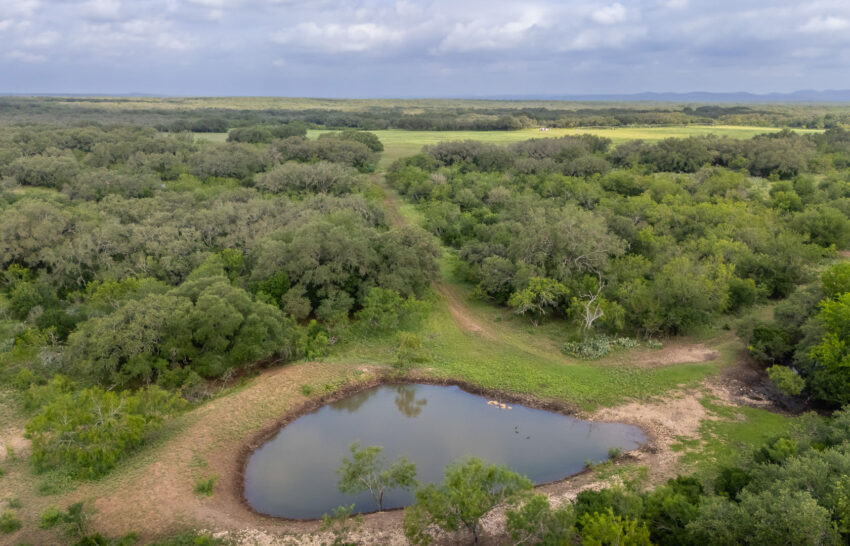 Aspire Wildlife Ranch 1298 Acre Hunting Ranch For Sale in Medina County Image 22