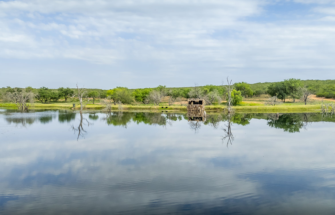 Concho Ranch 361 Acre Ranch For Sale Medina County Image 15