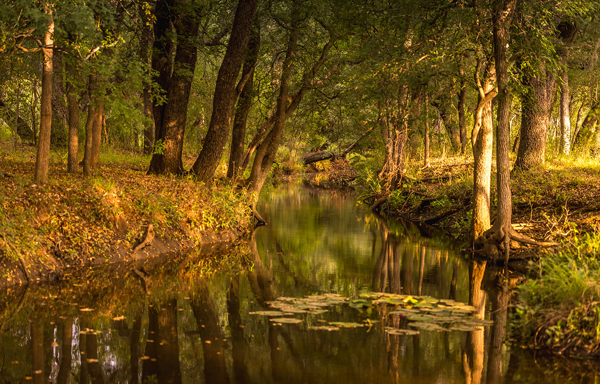 Tehuacana Creek Ranch 585 Acres For Sale In Medina County Image 15
