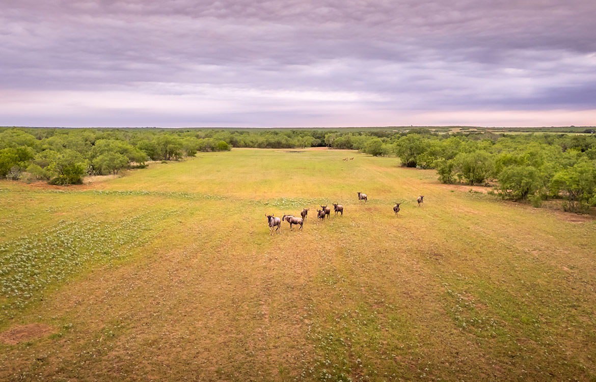 Tehuacana Creek Ranch 585 Acres For Sale In Medina County Image 21