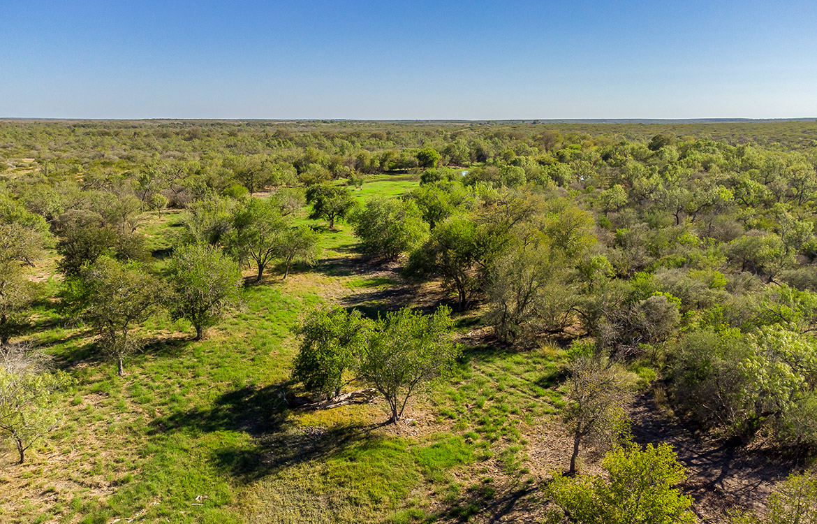 West Squirrel Creek Ranch 812 Acre Ranch Fo Sale In Medina County Image 13