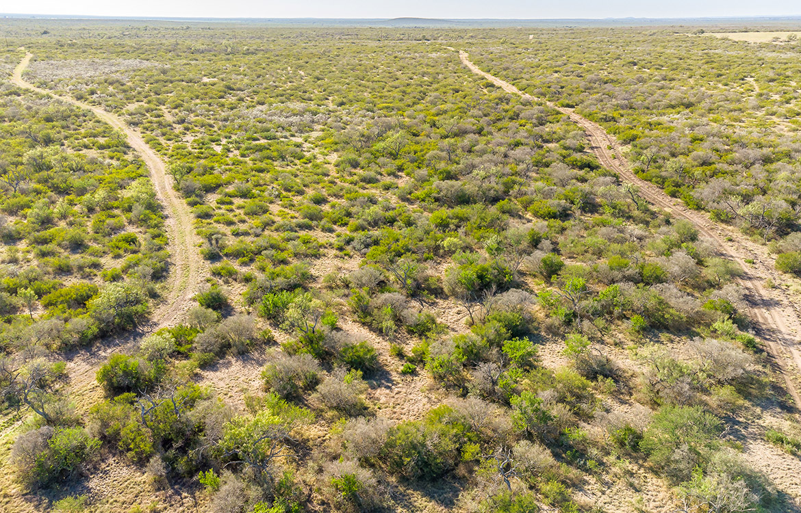 West Squirrel Creek Ranch 812 Acre Ranch Fo Sale In Medina County Image 19