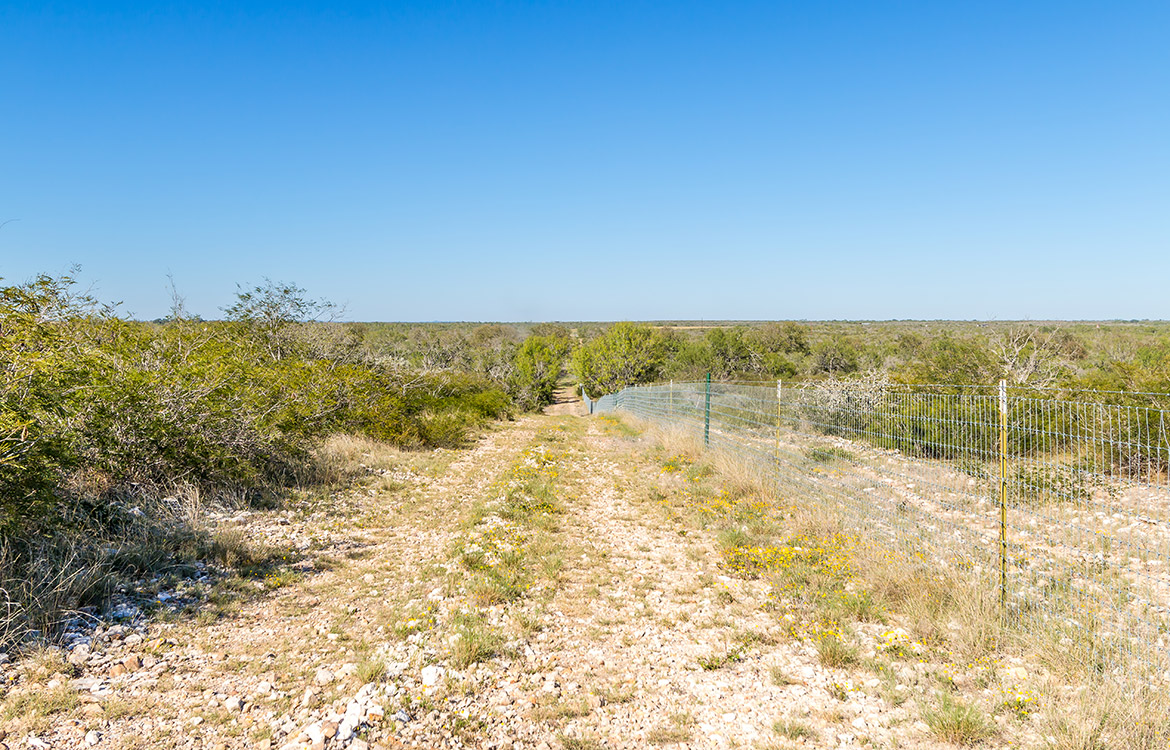 West Squirrel Creek Ranch 812 Acre Ranch Fo Sale In Medina County Image 5