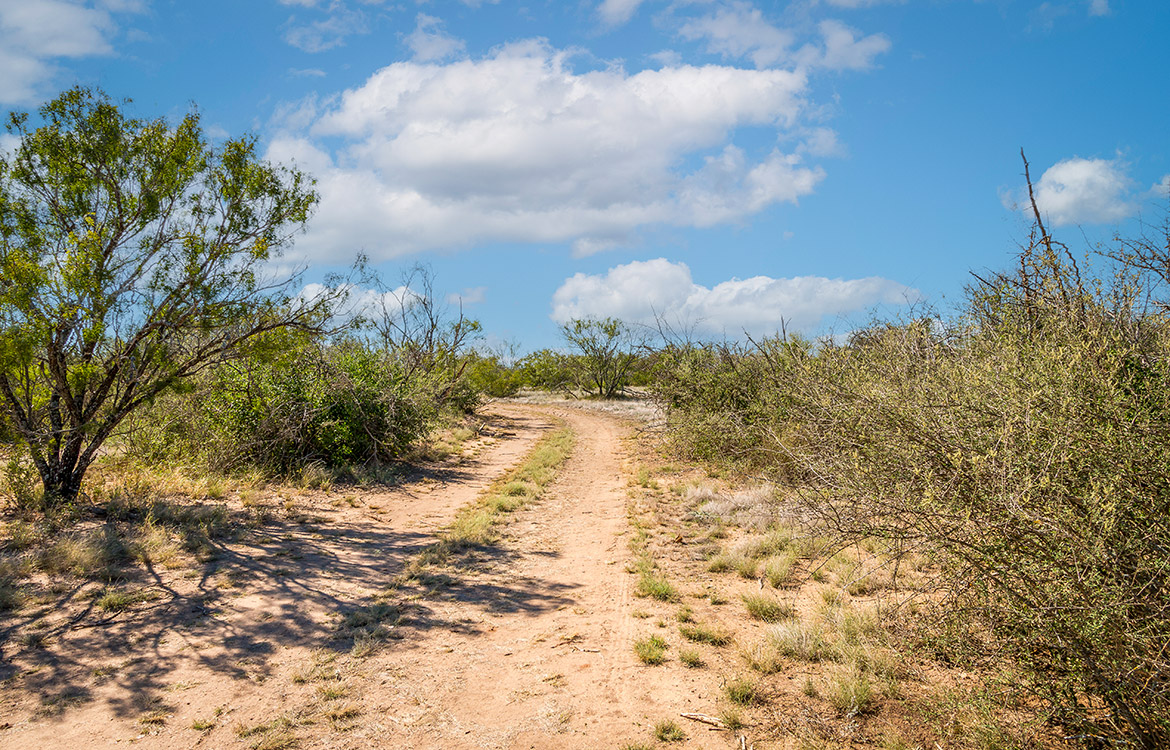 West Squirrel Creek Ranch 812 Acre Ranch Fo Sale In Medina County Image 6
