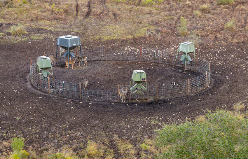 Naked Indian Ranch 2676 Acre Ranch For Sale in Uvalde County Image 24