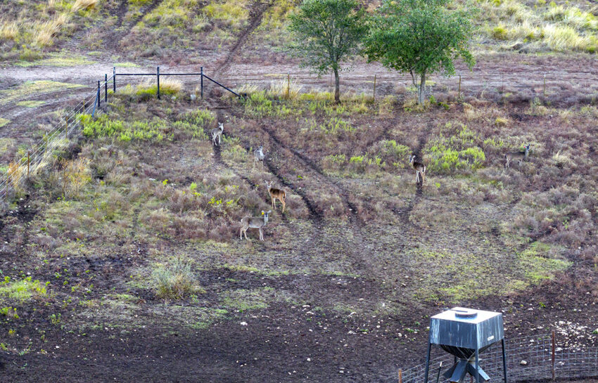 Naked Indian Ranch 2676 Acre Ranch For Sale in Uvalde County Image 25