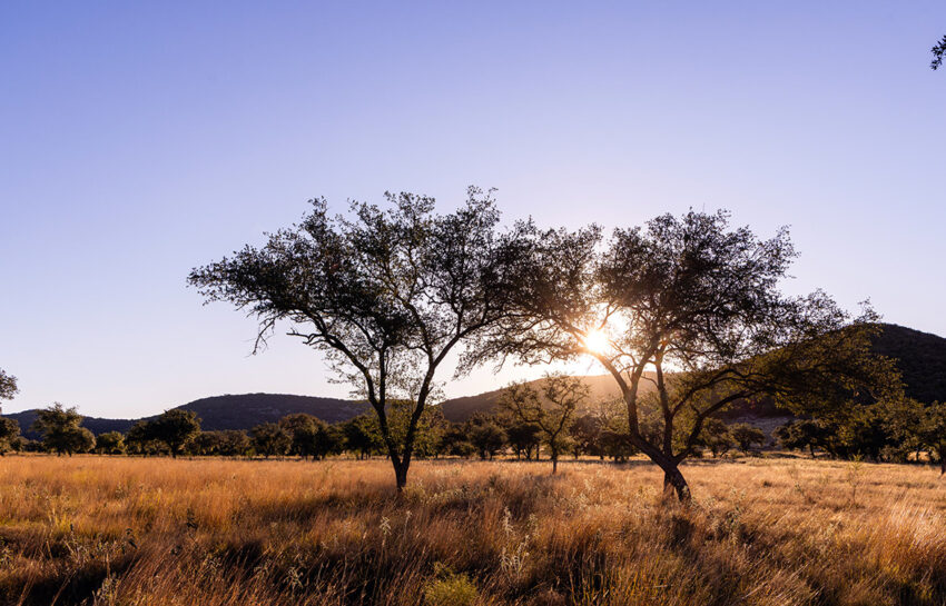 Naked Indian Ranch 2676 Acre Ranch For Sale in Uvalde County Image 8