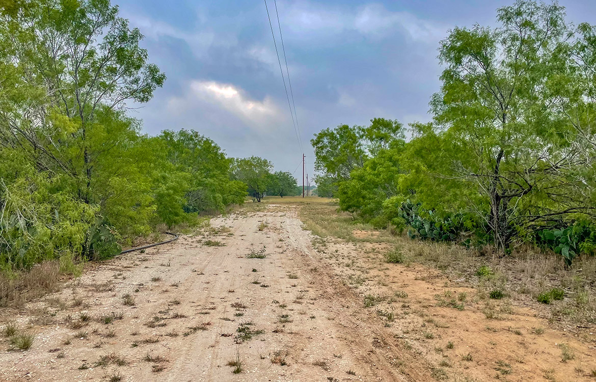 South Texas Corner Ranch 15 Acre Ranch For Sale In Atascosa County Image 1