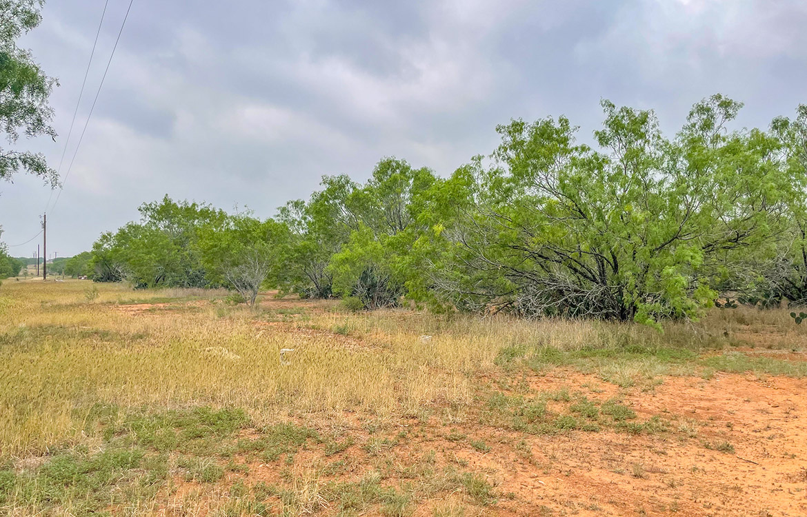 South Texas Corner Ranch 15 Acre Ranch For Sale In Atascosa County Image 10