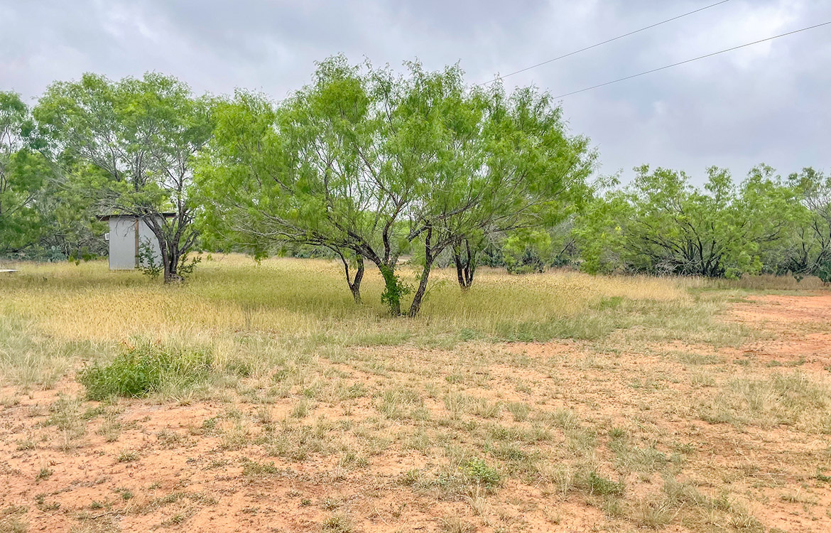 South Texas Corner Ranch 15 Acre Ranch For Sale In Atascosa County Image 11