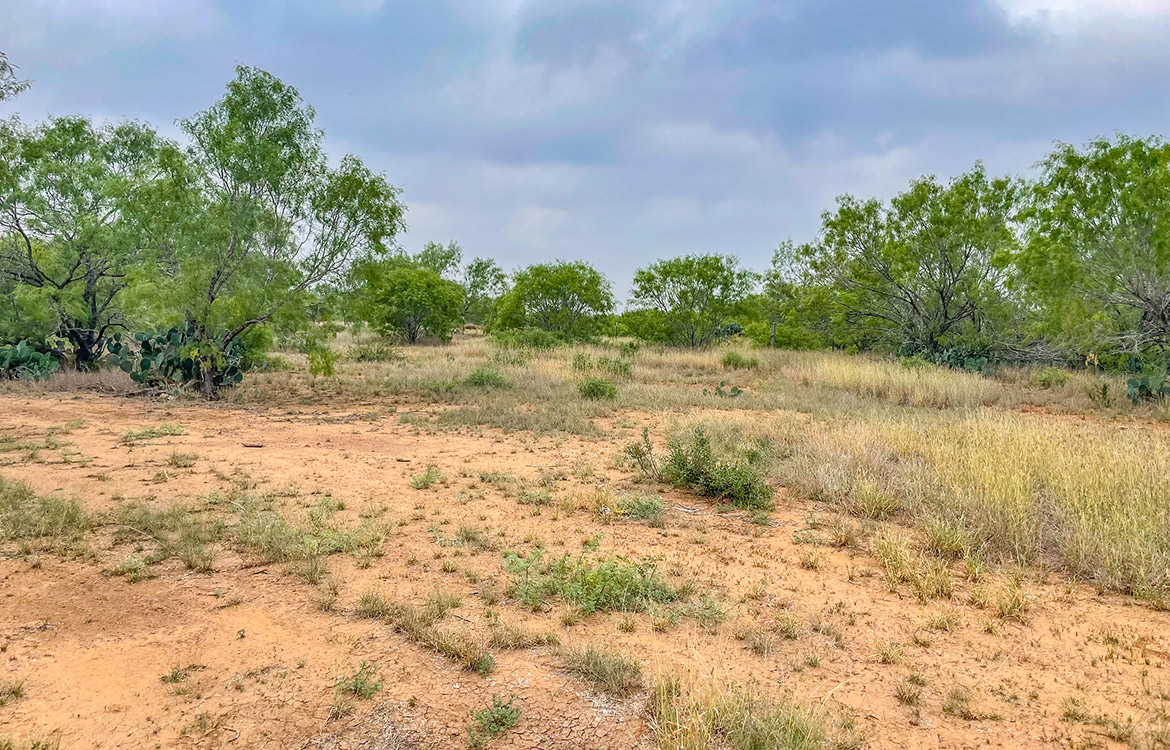 South Texas Corner Ranch 15 Acre Ranch For Sale In Atascosa County Image 12