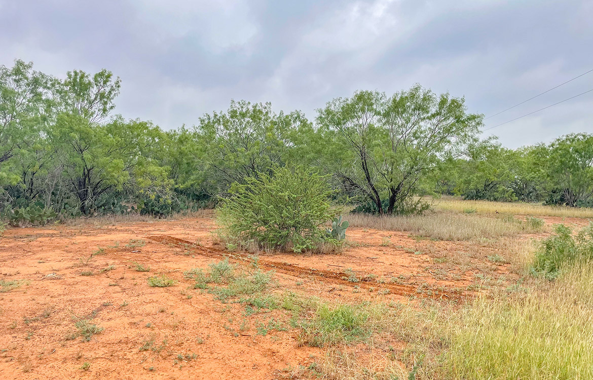 South Texas Corner Ranch 15 Acre Ranch For Sale In Atascosa County Image 13