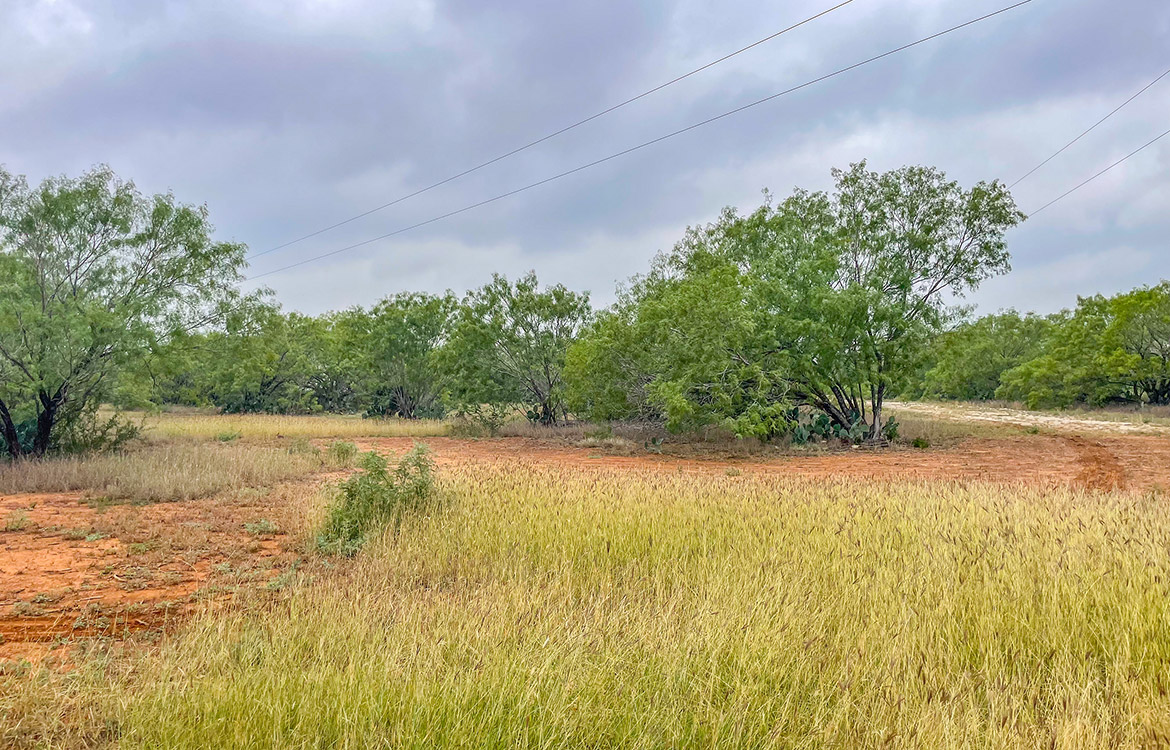 South Texas Corner Ranch 15 Acre Ranch For Sale In Atascosa County Image 14