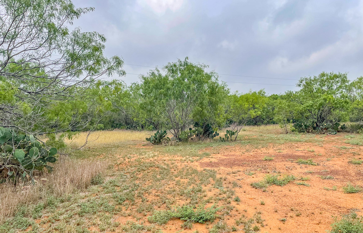 South Texas Corner Ranch 15 Acre Ranch For Sale In Atascosa County Image 16