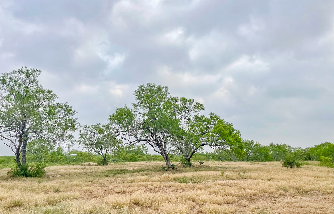 South Texas Corner Ranch 15 Acre Ranch For Sale In Atascosa County Image 18