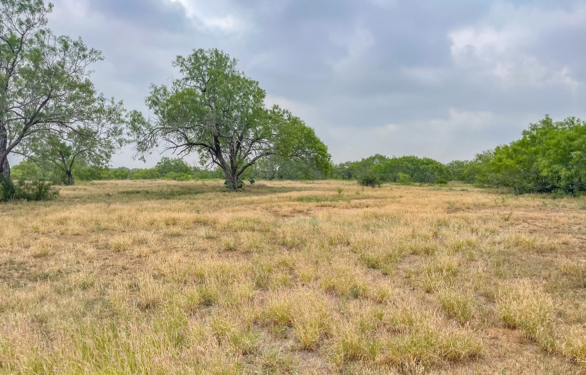 South Texas Corner Ranch 15 Acre Ranch For Sale In Atascosa County Image 2