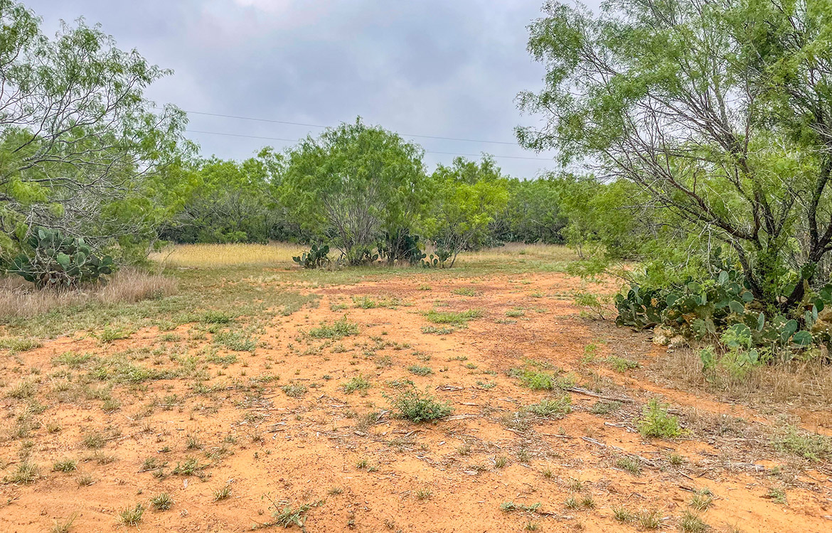South Texas Corner Ranch 15 Acre Ranch For Sale In Atascosa County Image 6
