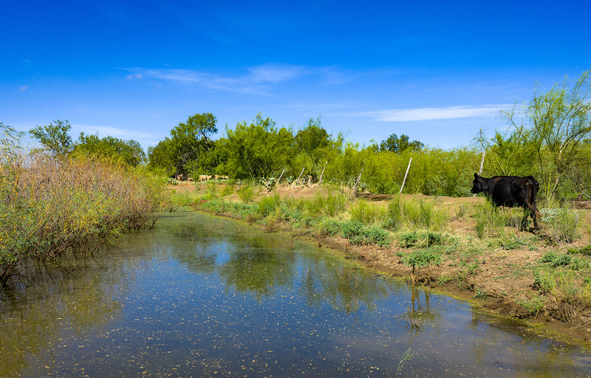JF Ranch 318 Acre Ranch For Sale In Atascosa County Image 1