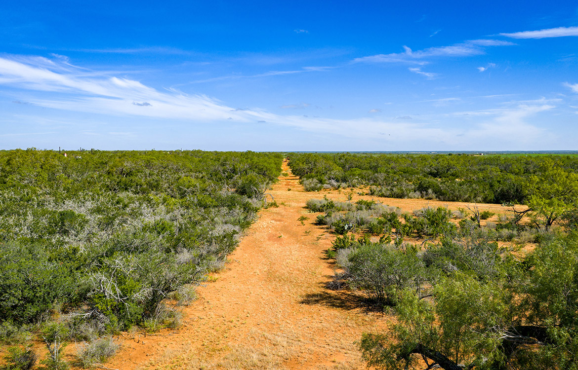 JF Ranch 318 Acre Ranch For Sale In Atascosa County Image 11