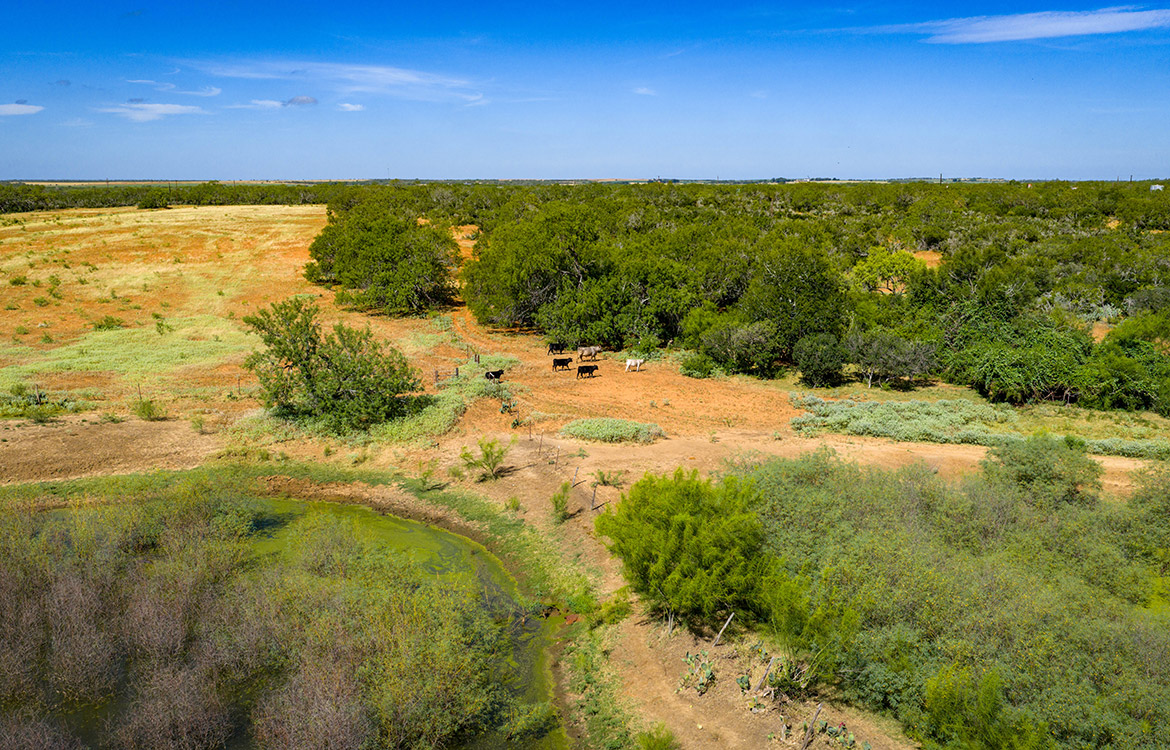JF Ranch 318 Acre Ranch For Sale In Atascosa County Image 12