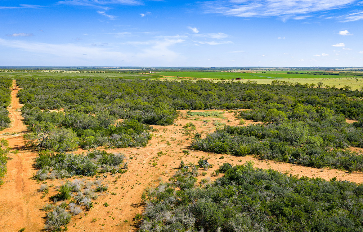 JF Ranch 318 Acre Ranch For Sale In Atascosa County Image 14