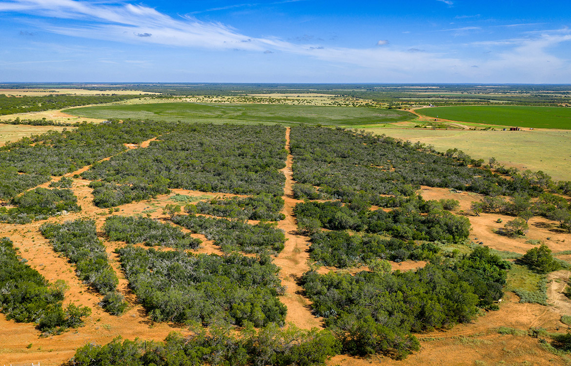 JF Ranch 318 Acre Ranch For Sale In Atascosa County Image 15
