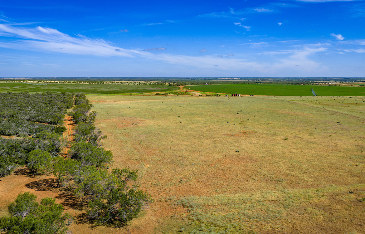 JF Ranch 318 Acre Ranch For Sale In Atascosa County Image 16