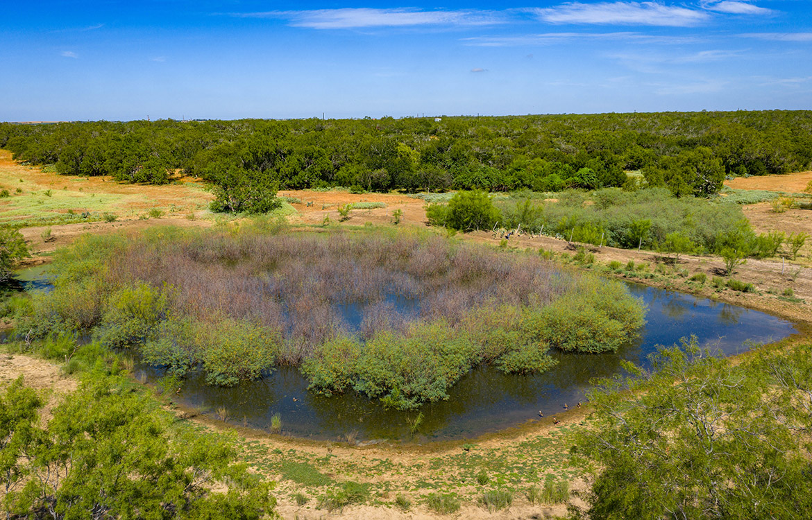 JF Ranch 318 Acre Ranch For Sale In Atascosa County Image 4