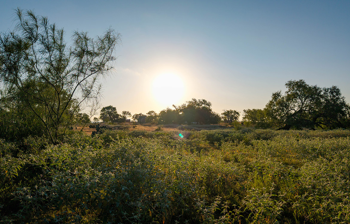 JF Ranch 318 Acre Ranch For Sale In Atascosa County Image 6