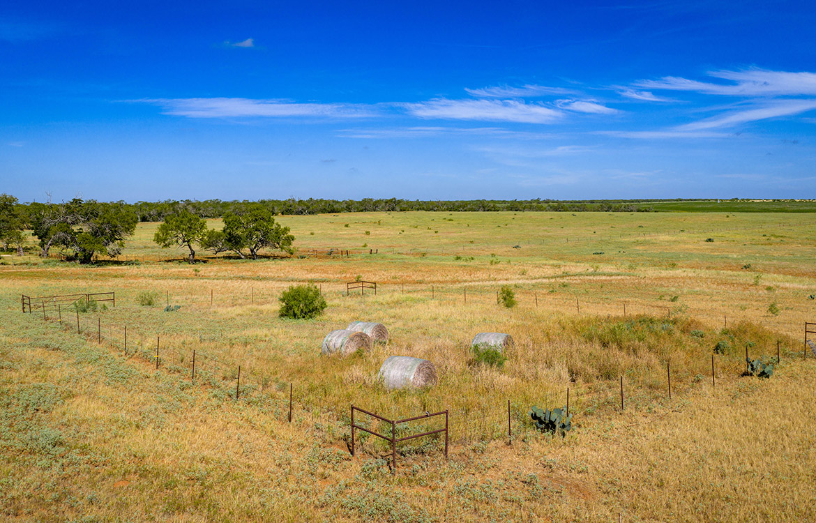 JF Ranch 318 Acre Ranch For Sale In Atascosa County Image 8