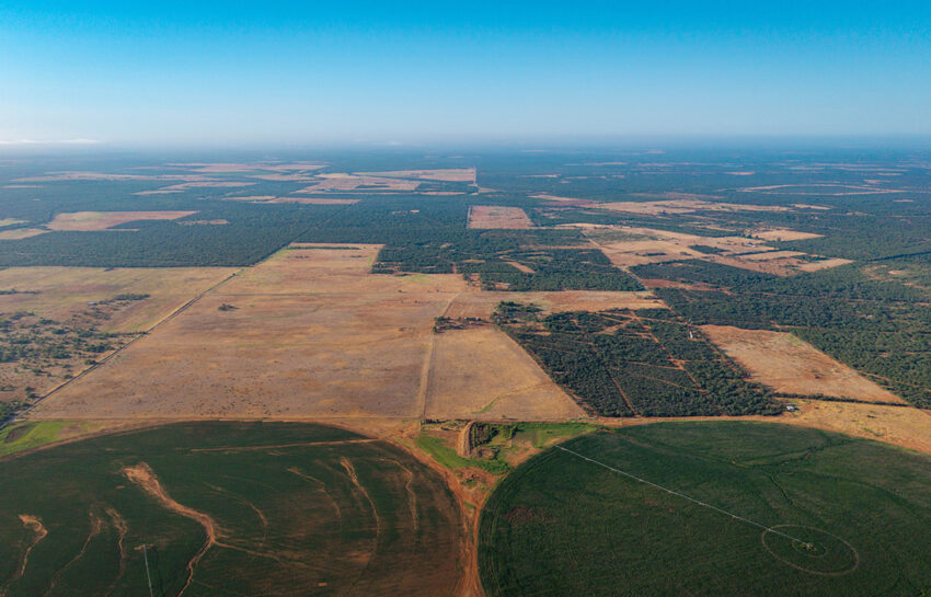 Saunders Ranch 75 Acre Ranch For Sale In Atascosa County Image 19