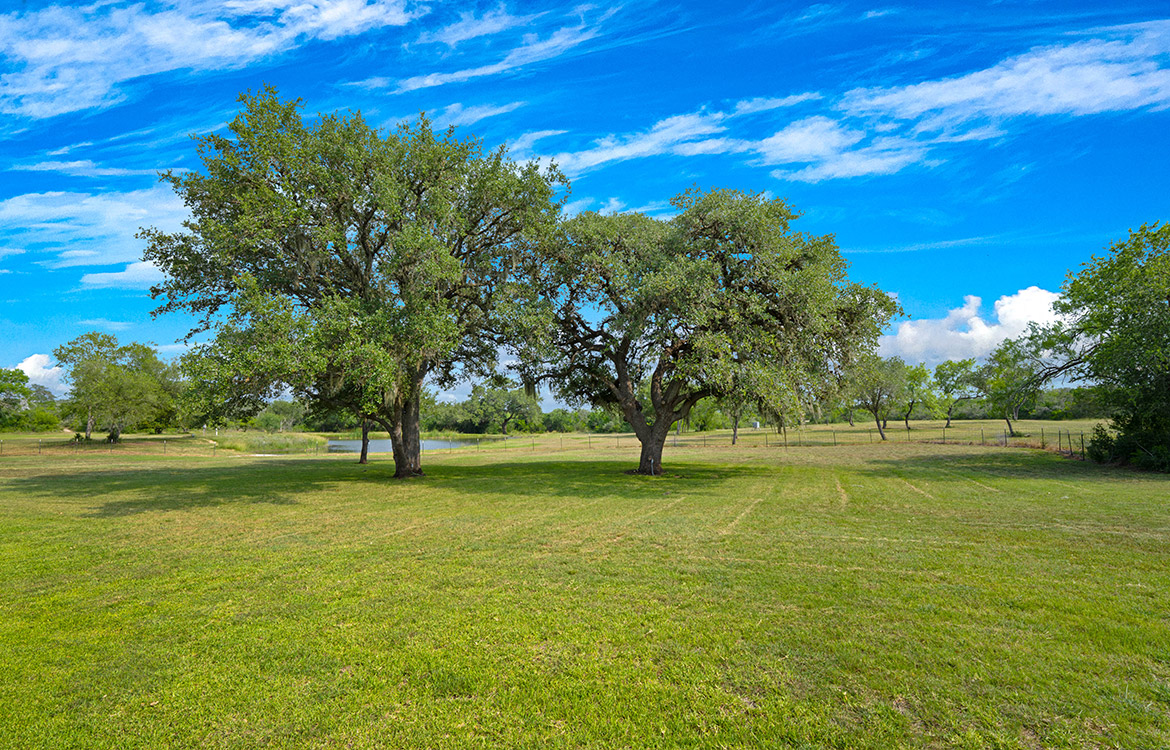 Tres Hermanas Ranch 209 Acre Ranch for Sale In Bee County Image 14