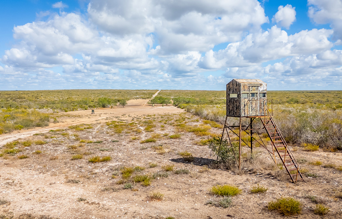 WB Stagecoach Ranch 1150 Acre Ranch in Duval County Texas Image 3