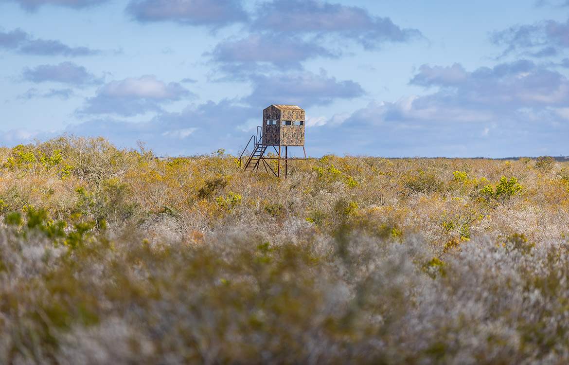 WB Stagecoach Ranch 1150 Acre Ranch in Duval County Texas Image 4