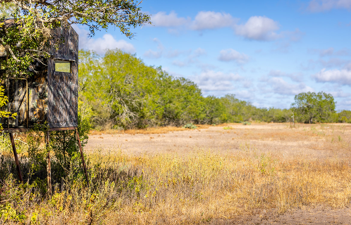 WB Stagecoach Ranch 1150 Acre Ranch in Duval County Texas Image 5