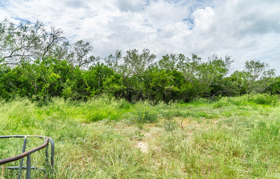 Cielito Ranch 140 Acre Ranch For Sale In Duval County Image 10