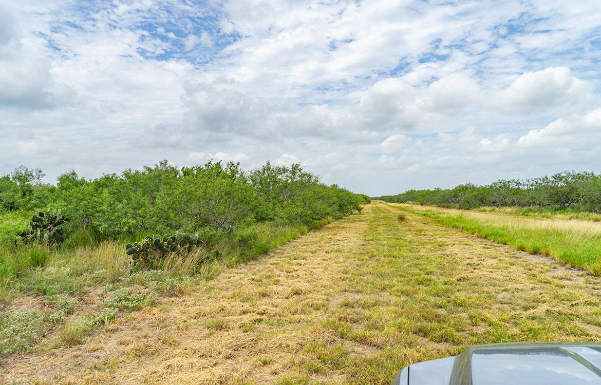 Cielito Ranch 140 Acre Ranch For Sale In Duval County Image 11