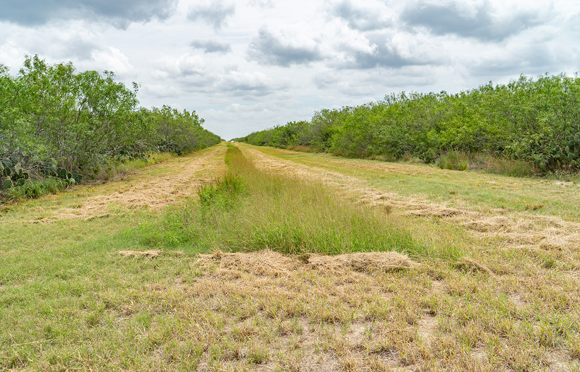 Cielito Ranch 140 Acre Ranch For Sale In Duval County Image 12
