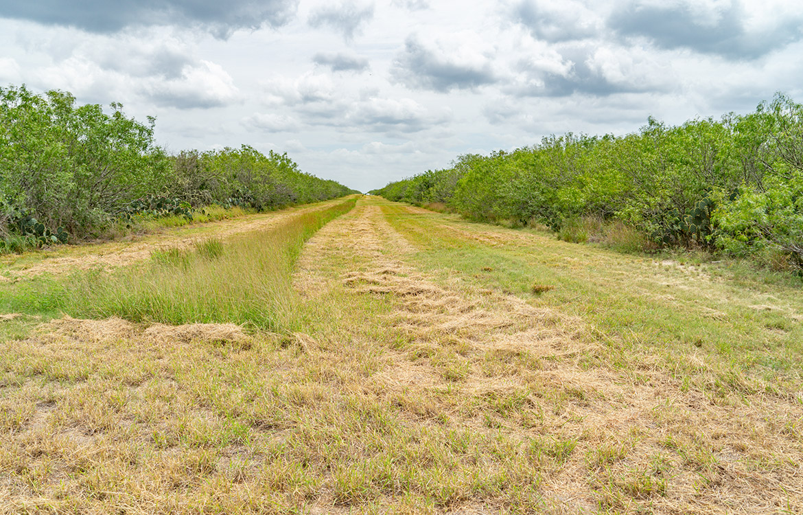 Cielito Ranch 140 Acre Ranch For Sale In Duval County Image 13